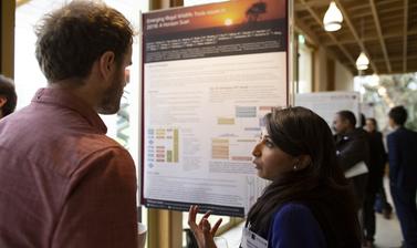 posters